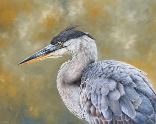 Coloured drawing of a blue and grey bird with a long blue and orange beak against a yellow background