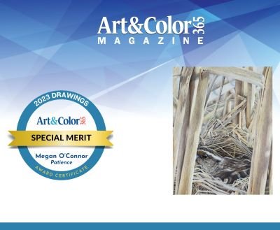 art&color2023